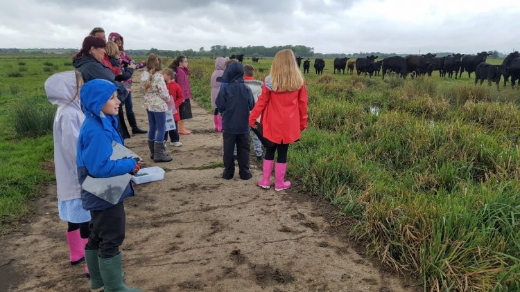 Picture of children from Greater Water Parsnip project