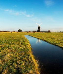 Picture of Halvergate Mill